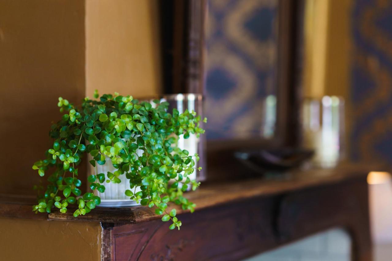 Logement Onze Chambres & Gites Raissac-d'Aude エクステリア 写真